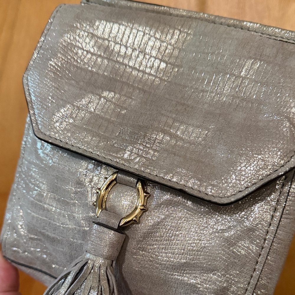 Aimee Kestenberg Metallic Silver Leather Crossbody Bag - Picture 8 of 11